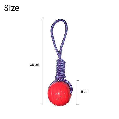 Emily Pets Ball on a Rope Durable Elastic Solid Rubber Balls Toys For Dog(Red,Orange,Blue)