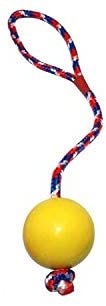 Emily Pets Solid Rubber Ball with Multicolor Rope Dog chew (Large)
