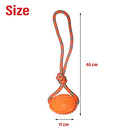 Rubber Rugby Spike Ball Rope Toy For Small Dog