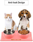 Stainless Steel Double Food and Water Bowl for Dogs