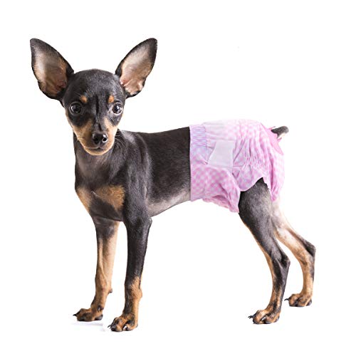 Diapers For Female Dogs