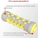 Bone Toothbrush Dog Toy for Dogs