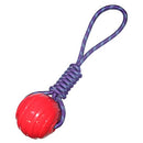 Ball On Rope Toy For Dogs