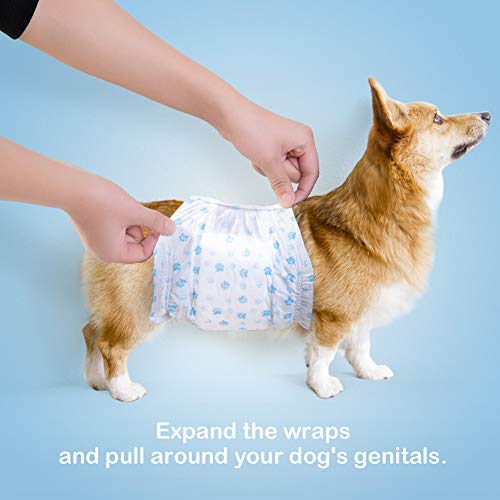Diaper Male For Dog