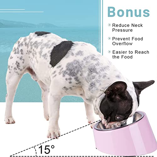 Emiy Pets Tilted Angle No Spill 15°Slanted Stainless Steel Bowl For Dogs Cats(Pista Green,Light Pink,Red,Green,Dark Green,Marron,Black,White,Orange,Sky Blue,Pink,S,L)
