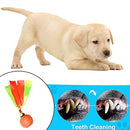 Rambo Ribbon Throwing Rubber Ball Toy For Dog