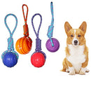 Ball On Rope Toy For Dogs