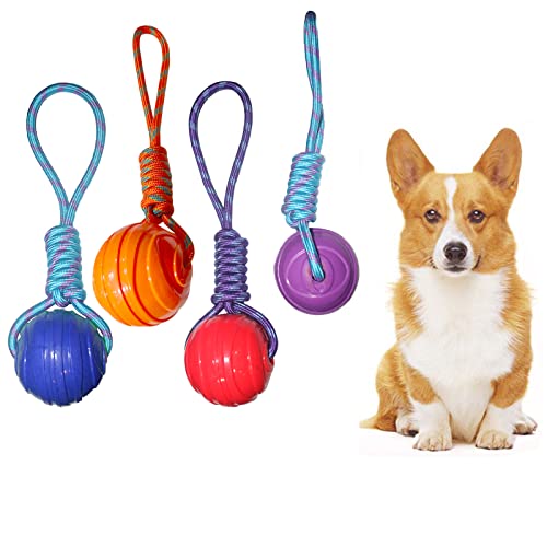 Emily Pets Ball on a Rope Durable Elastic Solid Rubber Balls Toys For Dog(Red,Orange,Blue)
