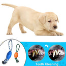 Rubber Rugby Spike Ball Rope Toy For Dog