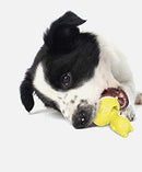 Piggy Shape Sucker Chew Toy for Dogs and Cats