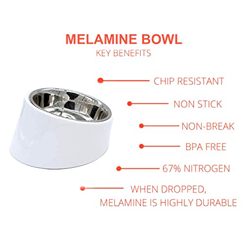 Stainless Steel Bowl For Dogs Cats