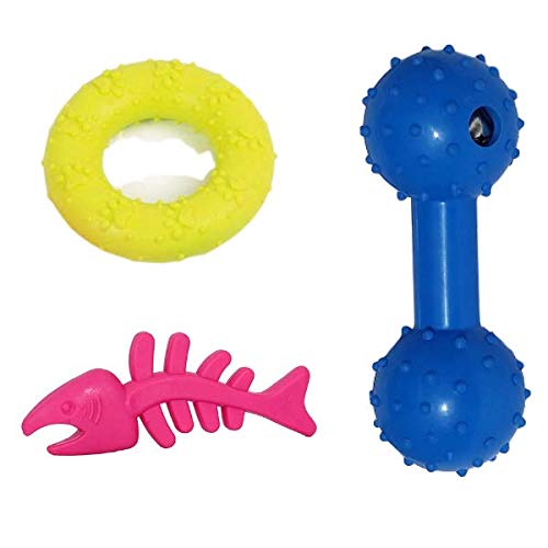Playful Spirit Fun Natural Rubber Ball Chew Toy with Sound for Dog