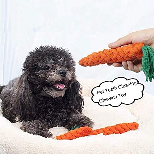 Emily Pets Toys Carrots  Puppy Teething Chew Toys