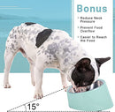 Stainless Steel Bowl For Dogs Cats
