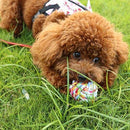 Durable Cotton Rope Ball Toy for Dogs