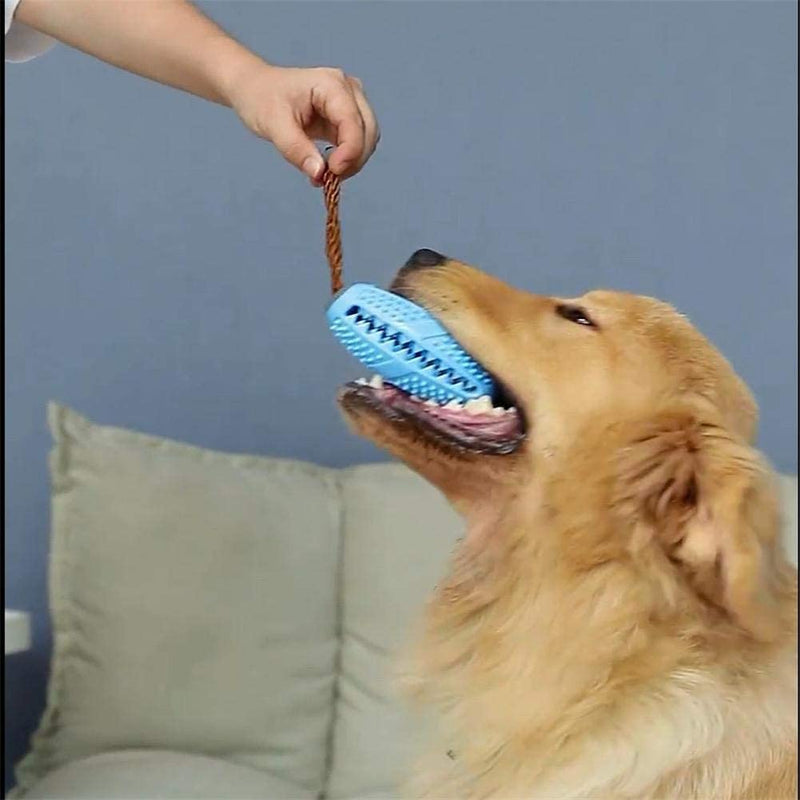 Dogs Chew Toys Ball,Durable Dog Toy for Aggressive Chewers Toothbrush