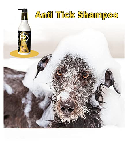 Shampoo For Dog And Cat