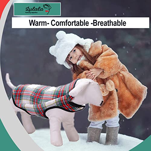 Winter Jacket For Dog Cats and Rabbit