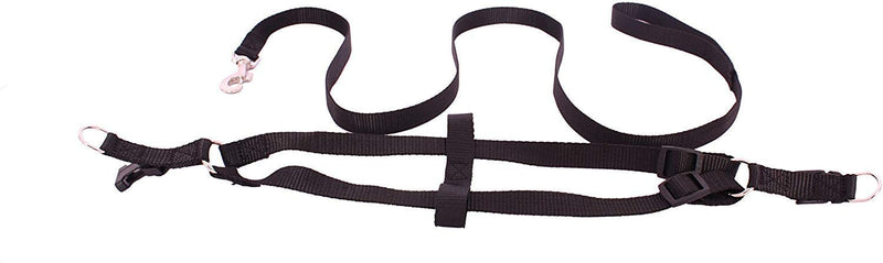 Leash & Harness For Pets