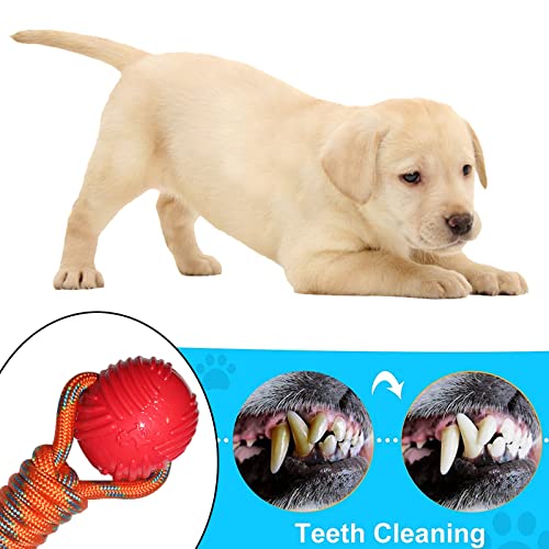 Emily Pets Ball on a Rope Dog Toys Durable Elastic Solid Rubber Balls For Dog(Blue,Voilate,Orange)