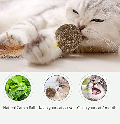 Emily Pets Natural Catnip Feather Treat Ball Toy For Cat (Pack of 3)