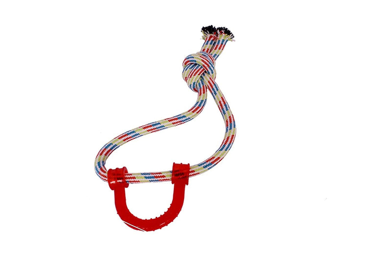 Emily Pets Chew Rope Toys,Durable Braided Cotton Rope Toys for Puppy/Cat Teeth Cleaning (Multicolour)