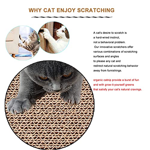 2 in 1 Reversible Scratching Pad For Cats & Kittens