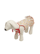 Summer Dress For Pets