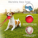 Dog Rubber Paw Print Ball with Nylon Knot Rope Toy for Puppy