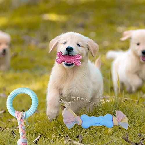 Toy Set For Dogs, Puppies (Color May Vary) Pack of 7