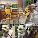 Summer Combo T-shirt + Sunglasses For Pets
