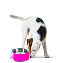 Colorful Melamine Dog Bowl with Non-Skid Silicone Base