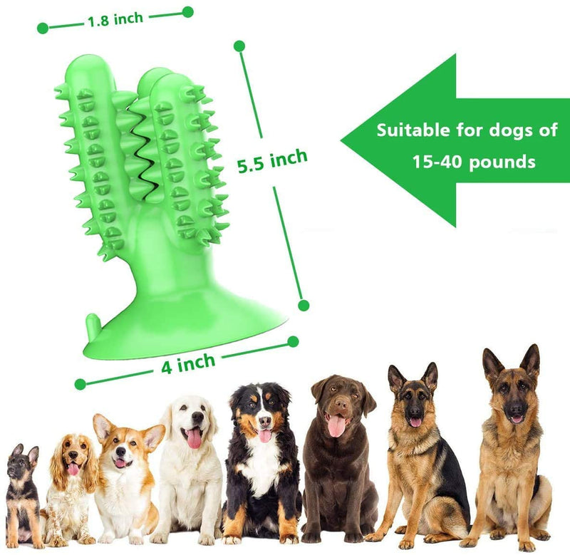 DogsToothbrush Dog Chew Toy for Aggressive Chewers Durable Puppy