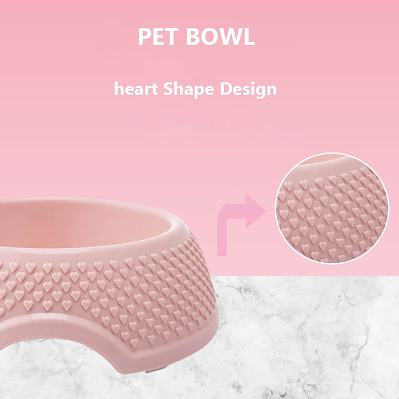Bowl For Dogs Cats