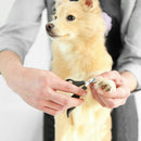 Grooming Claw Nail Clipper Scissor for Pets