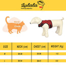 Adjustable Soft Vest Pet Harness For Dogs