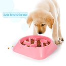 Slow Feed Bowl For Pets
