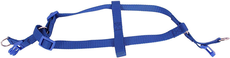 Leash & Harness For Pets