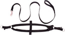 Leash & Harness For Pets