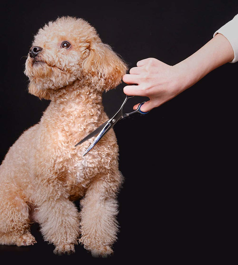 Emily Pets Dog Grooming Scissors Kit Pet Hair Tools (Silver)