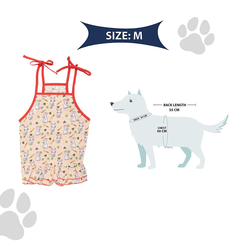 Summer Dress For Pets