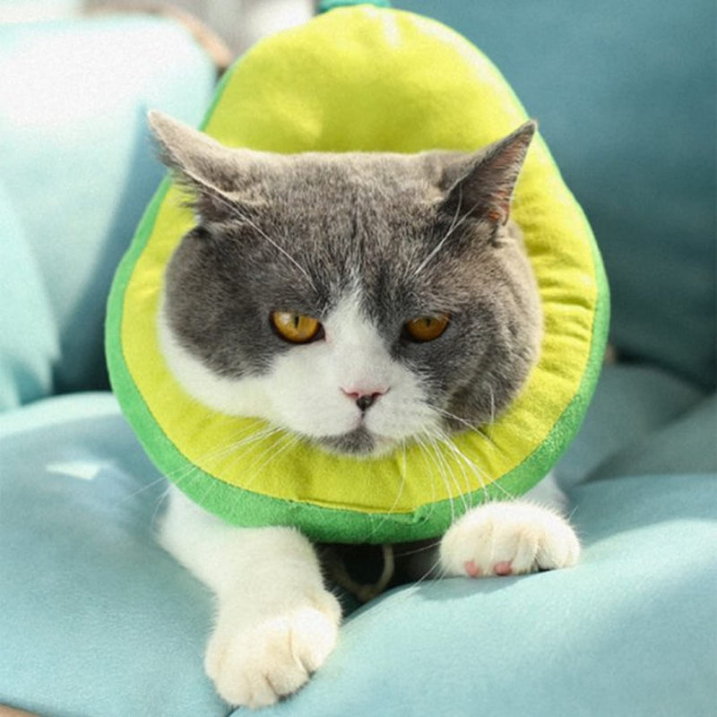 Emily Pets Avocado Adjustable Cat Recovery Collar (Green)