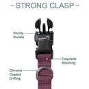 Nylon Collar And Leash Set For Small Medium Dogs