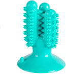 Dog Toothbrush Chew Toy for Aggressive Chewers