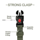 Neck Collar & Leash Set For Dogs