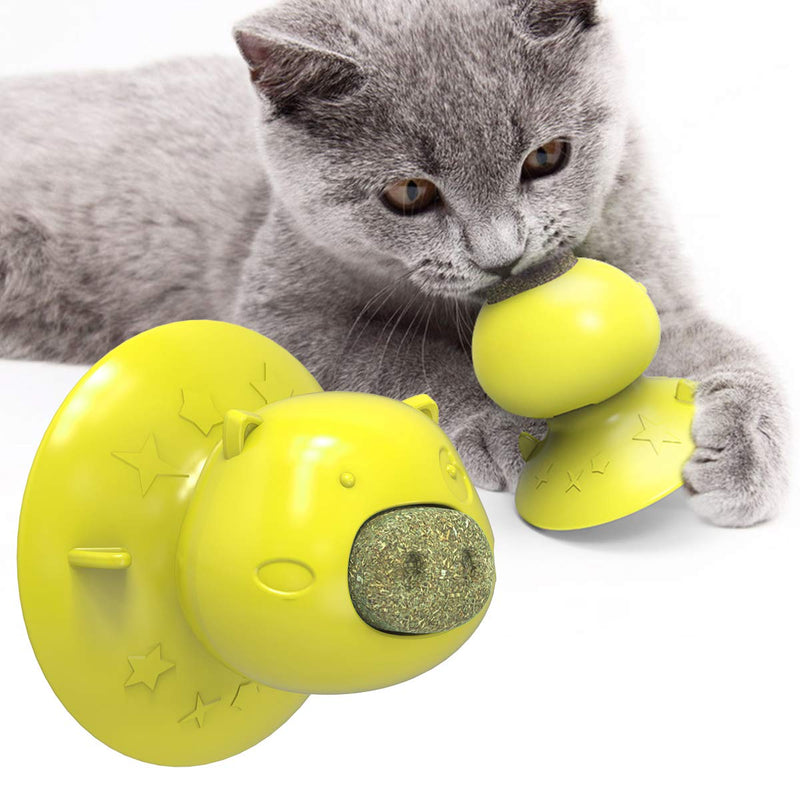 Catnip Toy For Pets