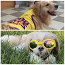 Summer Combo T-shirt + Sunglasses For Pets