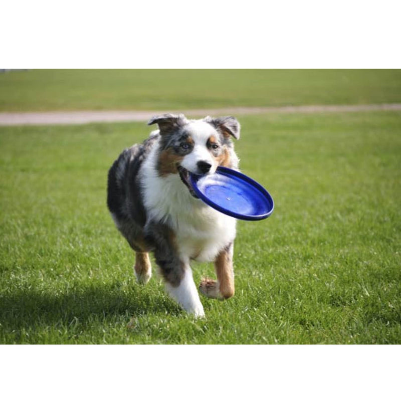 Emily Pets Dog Frisbee Silicone Interactive Dog Toys for Dogs(Black-Green)Medium