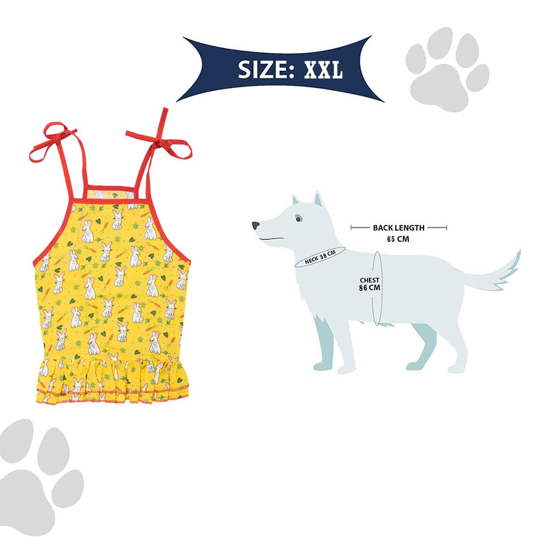 Summer Dress for Dogs