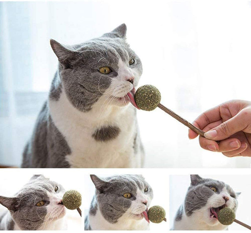 Emily Pets Catnip Lollipop Cat Treats Playing Relaxing Catnip Toys(Pack of 3)